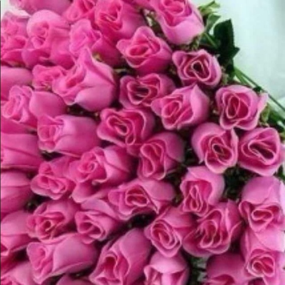 Meet your Posher, Carolyn - Picture 1 of 1